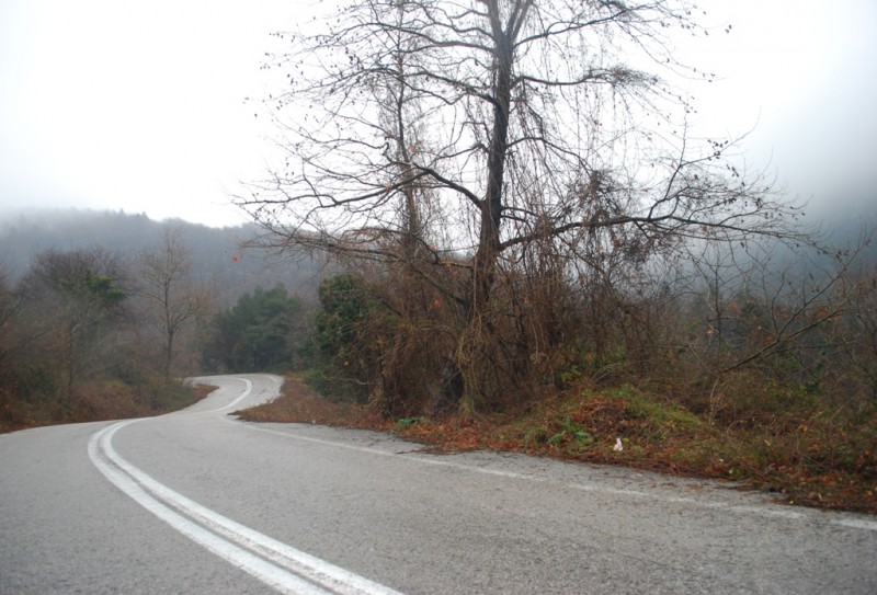 DSC_4902.JPG