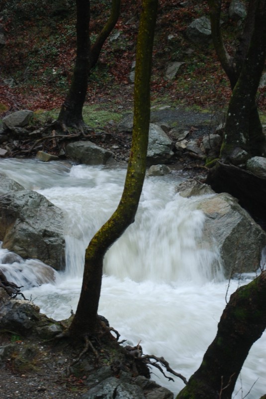 DSC_4903.JPG