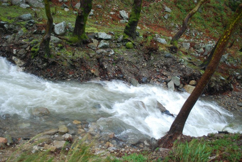 DSC_4905.JPG