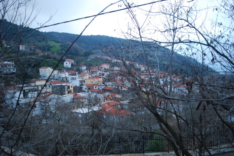 DSC_4914.JPG