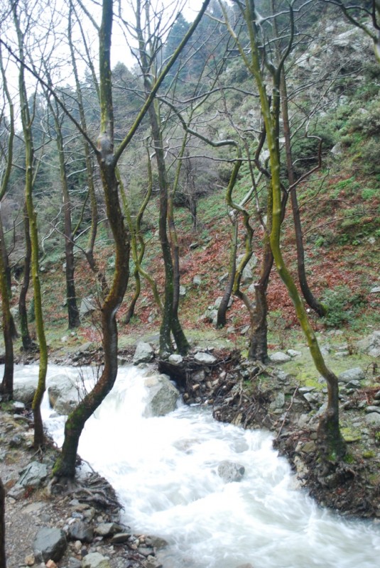 DSC_4906.JPG