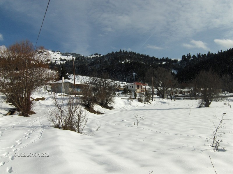 HPIM1205-1.jpg