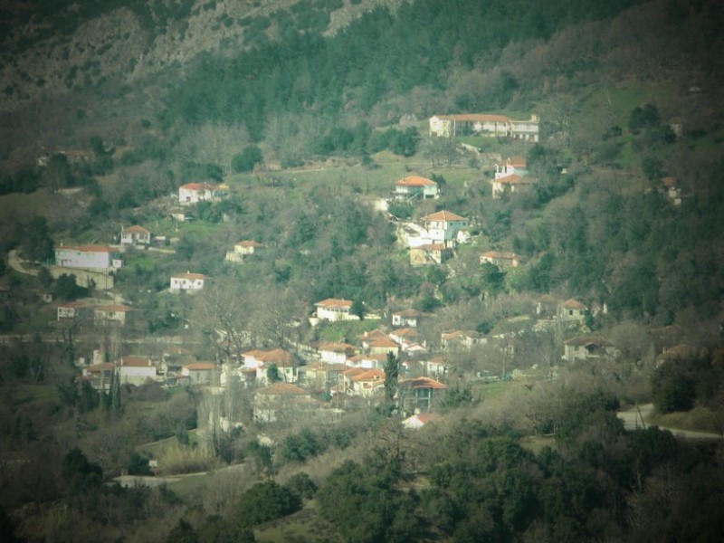 P2130730.jpg