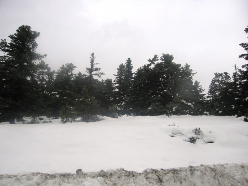 IMG_8059.jpg