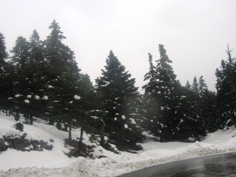 IMG_8061.jpg