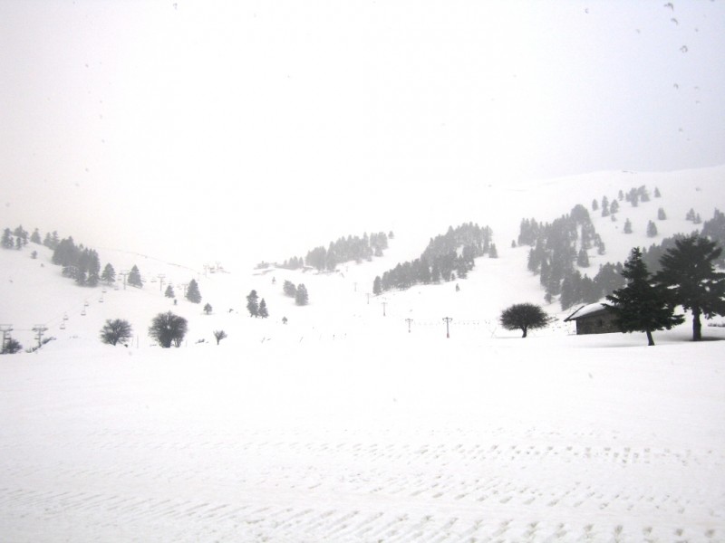 IMG_8077.jpg
