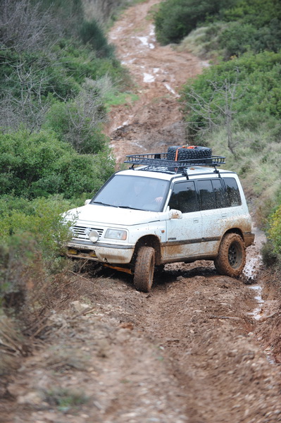 DSC_2894.JPG