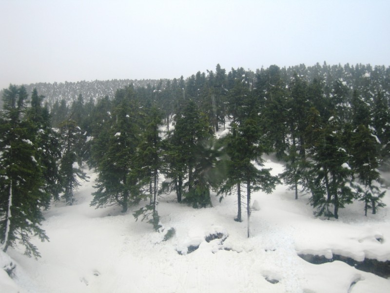 IMG_8084.jpg