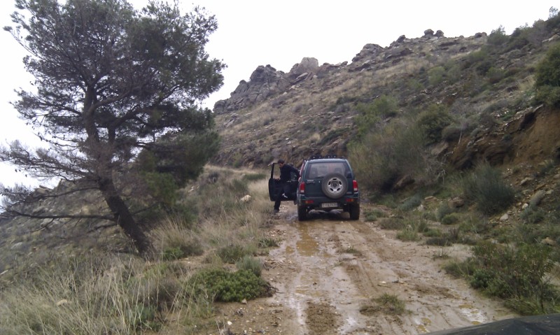 IMAG0055.jpg
