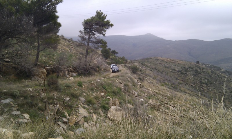IMAG0056.jpg