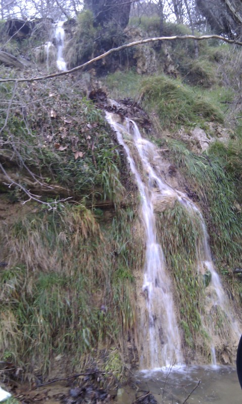 IMAG0066.jpg