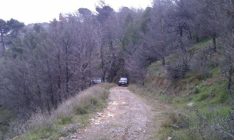 IMAG0067.jpg