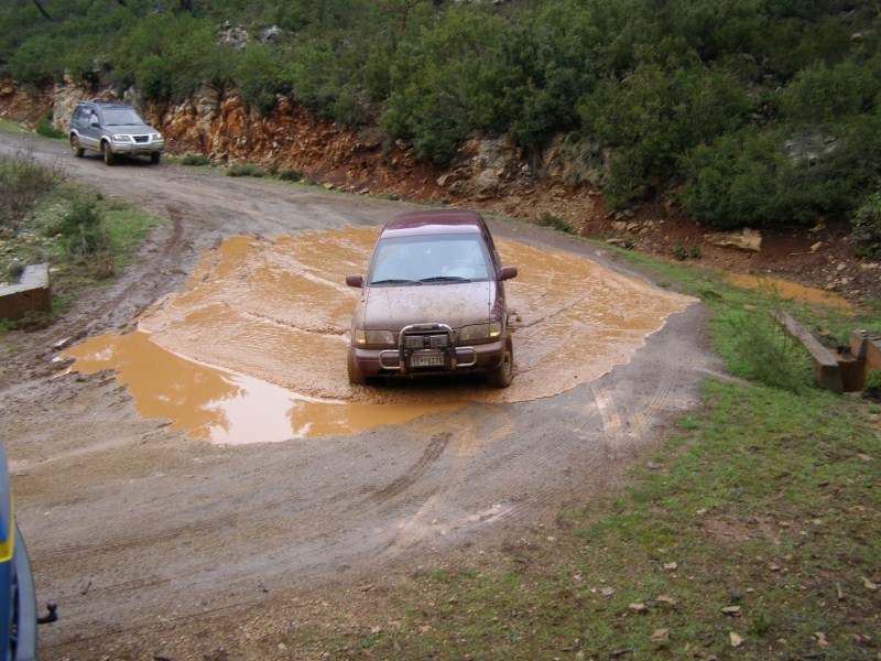 P2270308.jpg