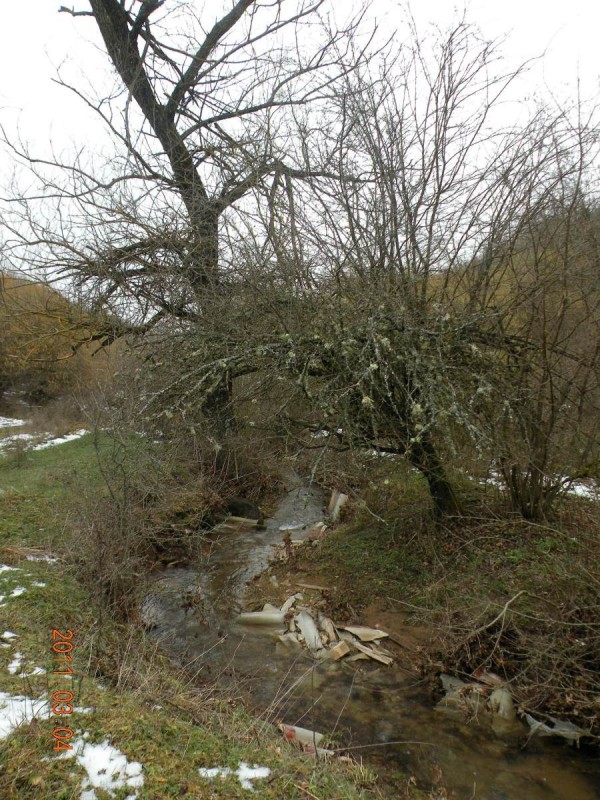 DSCN4125b.JPG