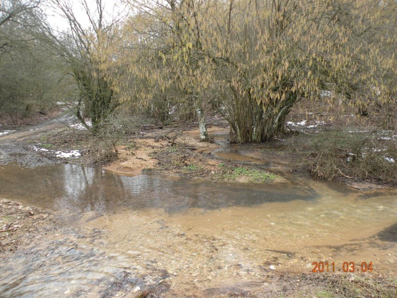 DSCN4126b.JPG
