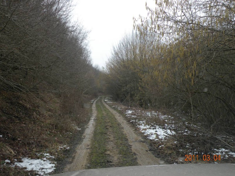 DSCN4131b.JPG