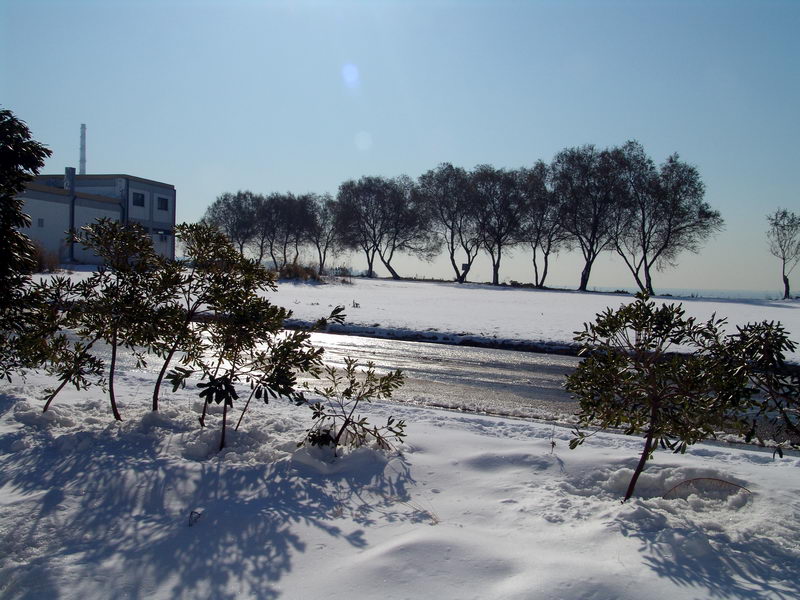 keratsini2008.jpg