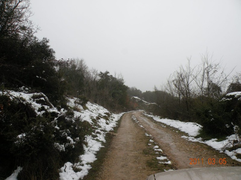 DSCN4135.JPG