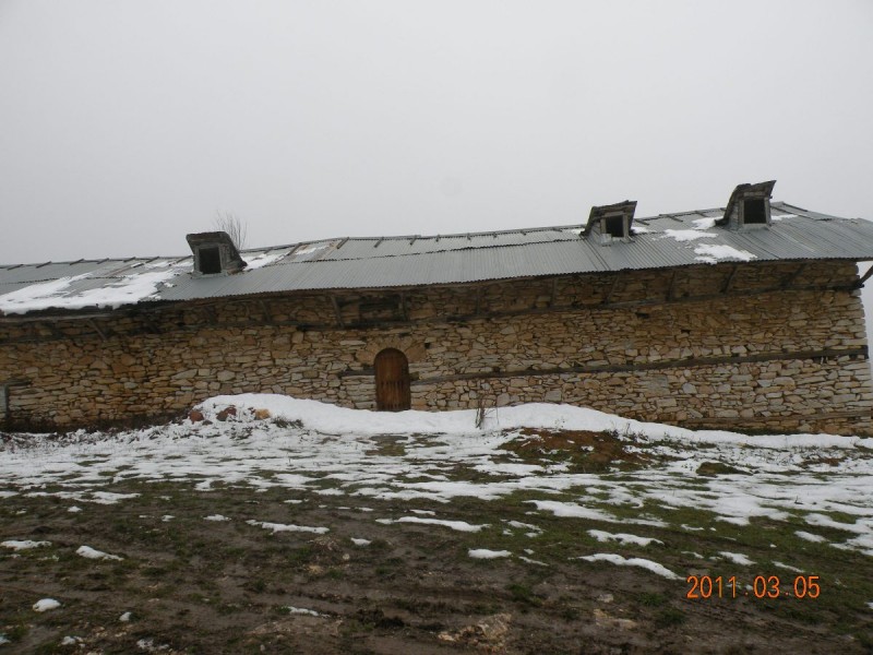 DSCN4136.JPG