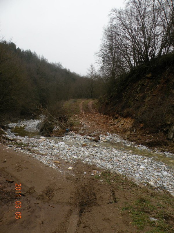 DSCN4143.JPG