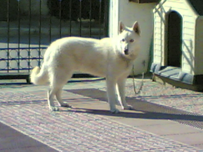 22012007(004) (800 x 600).jpg
