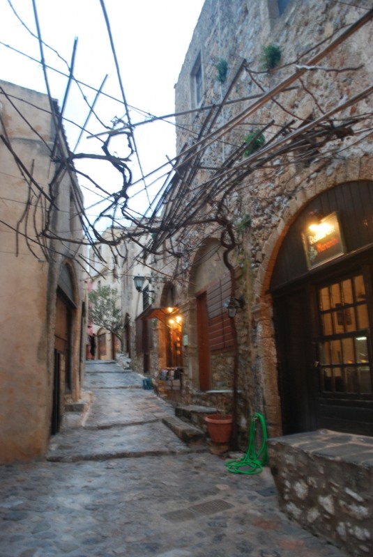DSC_5013.JPG