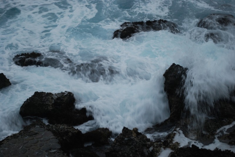 DSC_4977.JPG