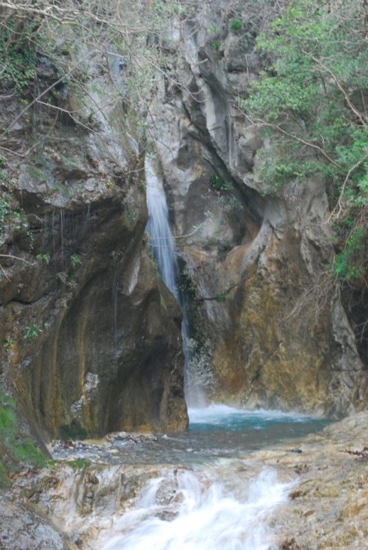 DSC_5125.JPG