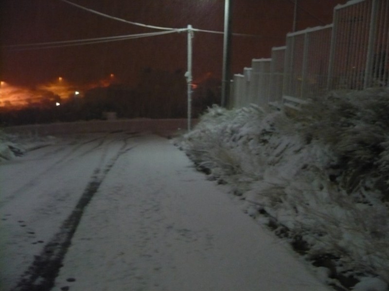 P1020857.jpg