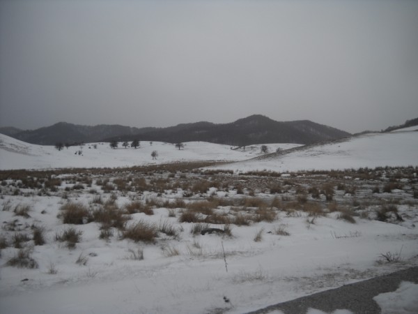 DSCN0149.jpg