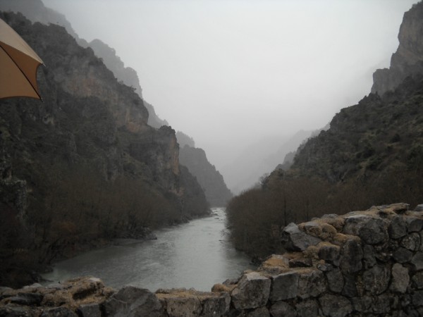 DSCN0124.jpg