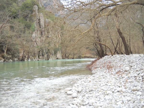 DSCN0107.jpg