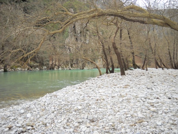 DSCN0102.jpg
