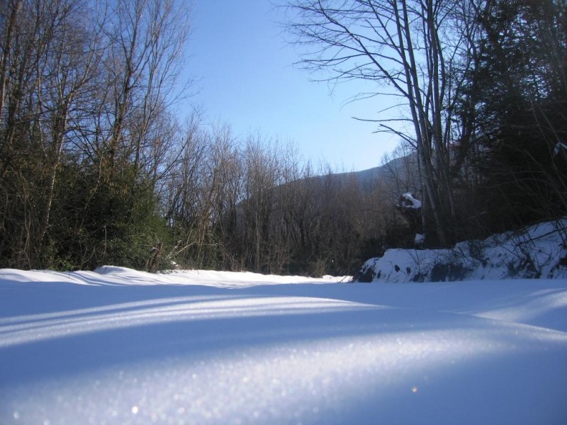 IMG_0136.jpg