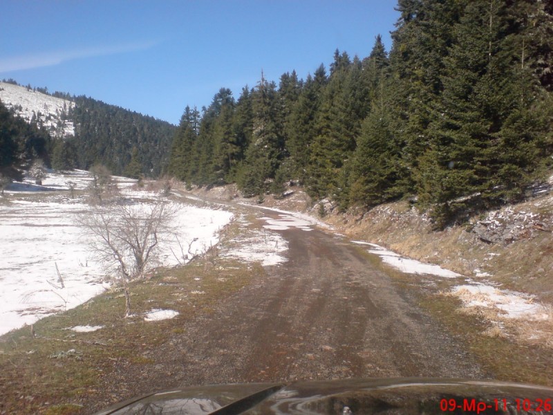 DSC00081.jpg