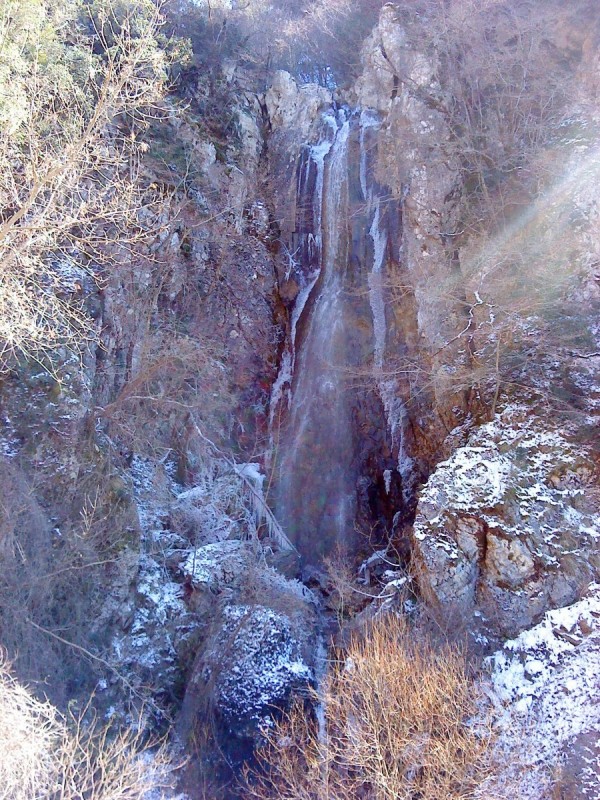 DSC00376.jpg