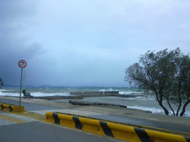 08032011098.jpg