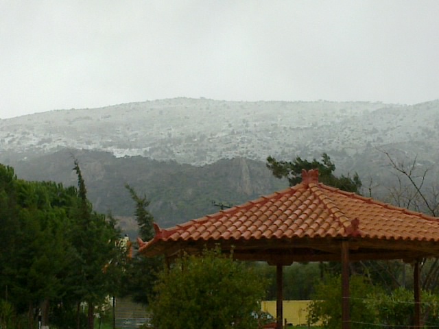 08032011099.jpg