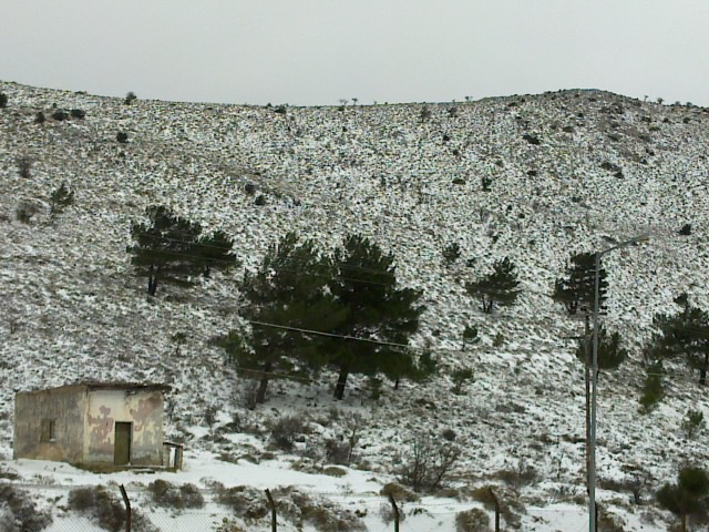 08032011100.jpg