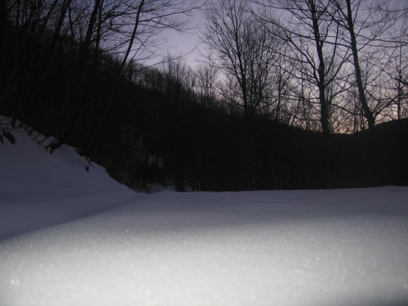 IMG_0215.jpg