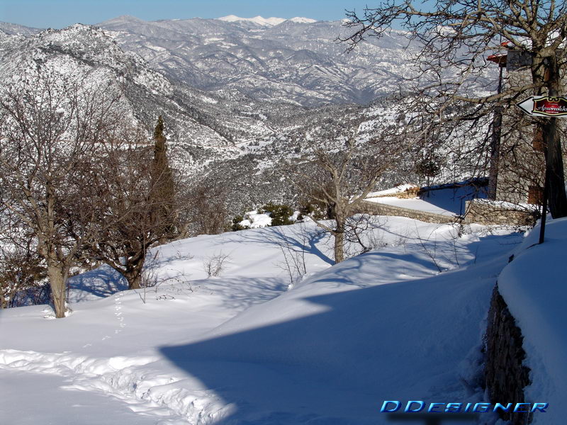 p02.jpg