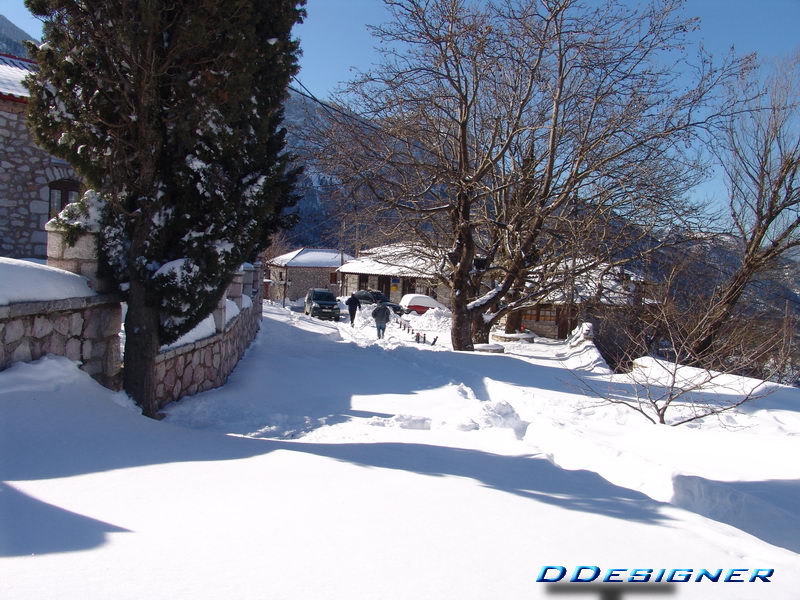 p03.jpg