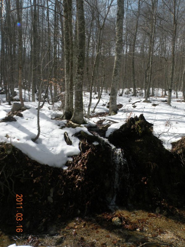 DSCN4235v.JPG