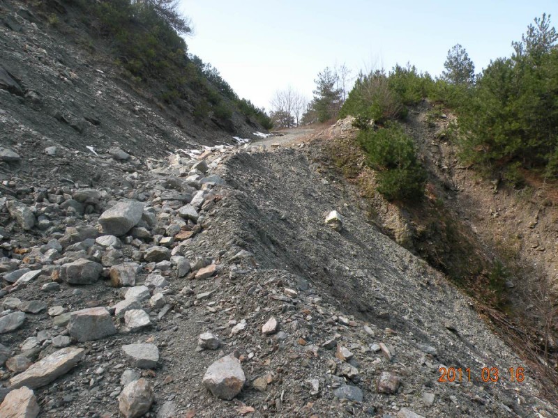 DSCN4241v.JPG