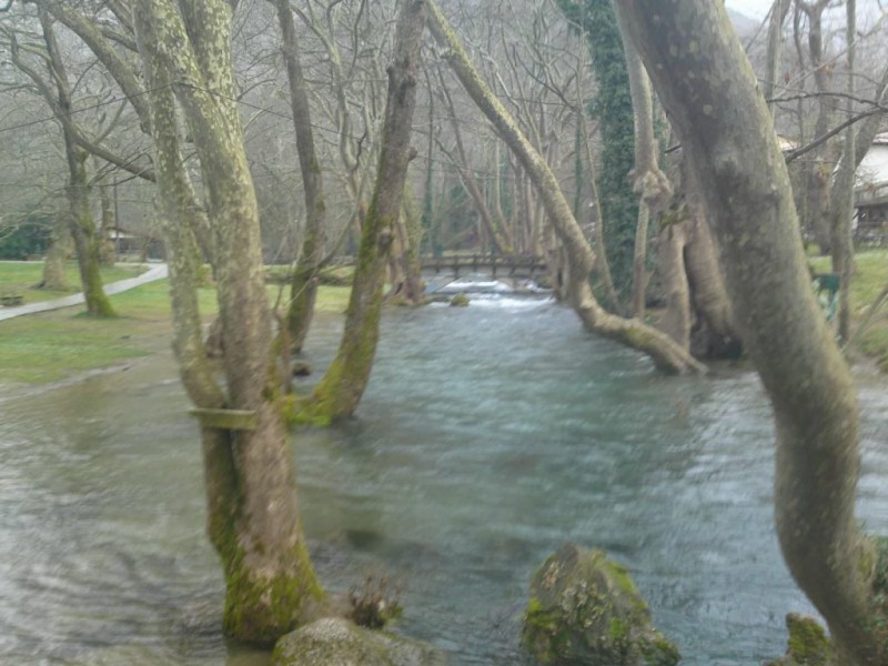 19032011436.jpg