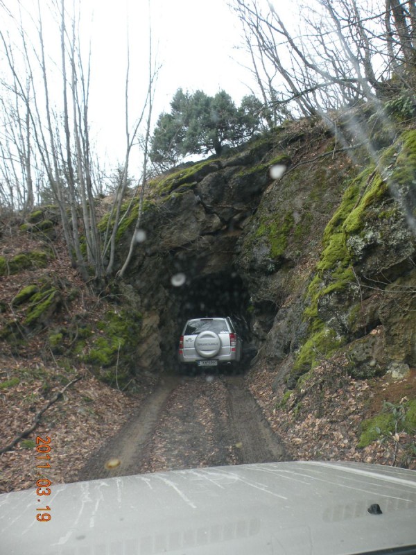 Copy of DSCN4253.JPG