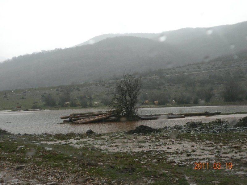 Copy of DSCN4255.JPG