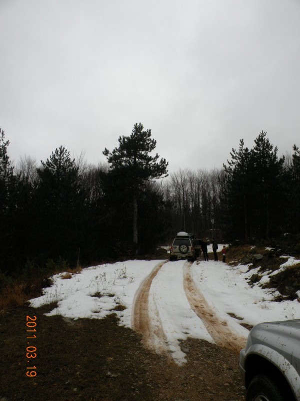 Copy of DSCN4258.JPG
