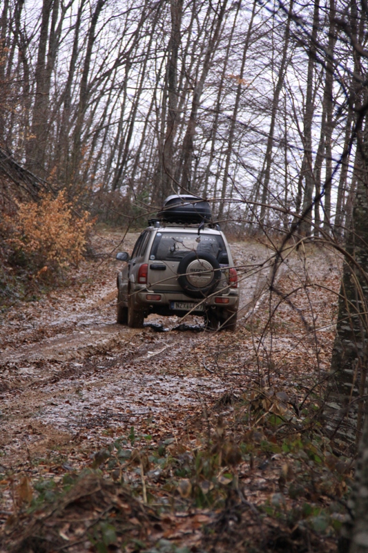 2011_03_19_4427.JPG