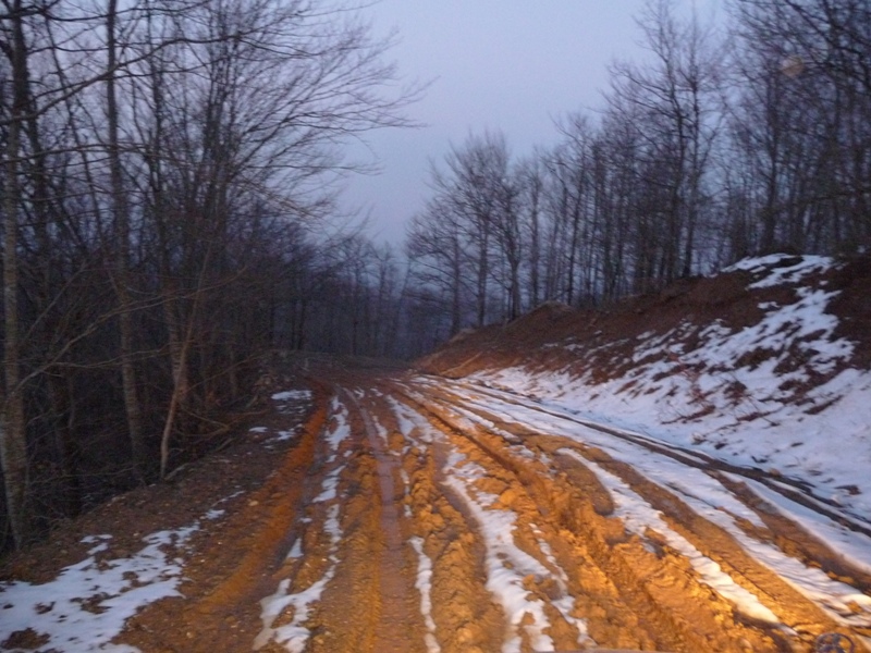 P1160781.JPG